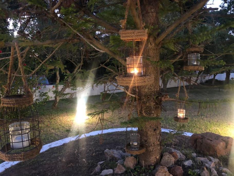 Villa Anastasia! In Strofylia Pine Forest!!! Manolas Exterior foto