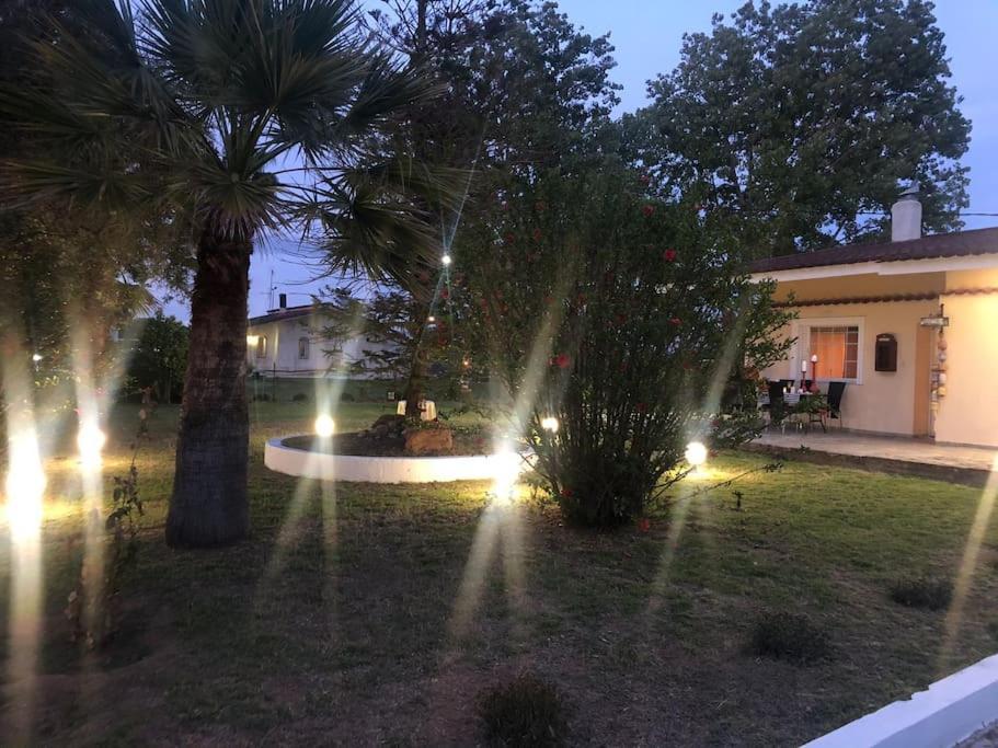 Villa Anastasia! In Strofylia Pine Forest!!! Manolas Exterior foto